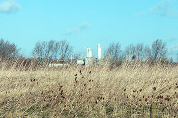 Sand and gravel workings seen from Bedford Road February 2008